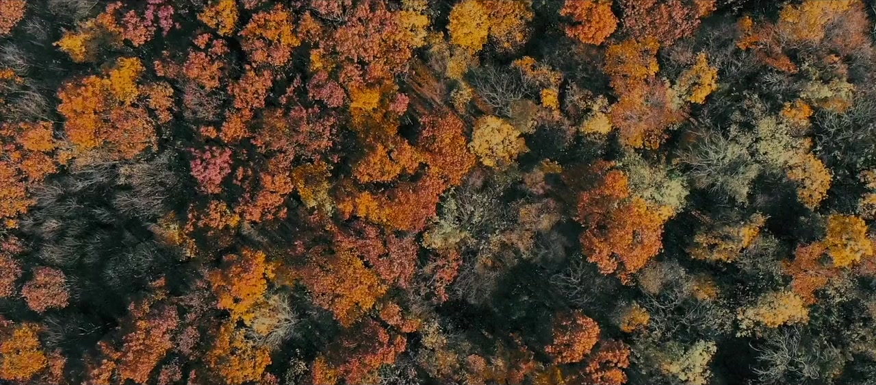 Last Resort screenshot 1