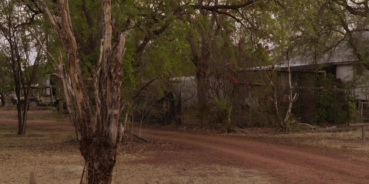Last Stop Larrimah screenshot 1
