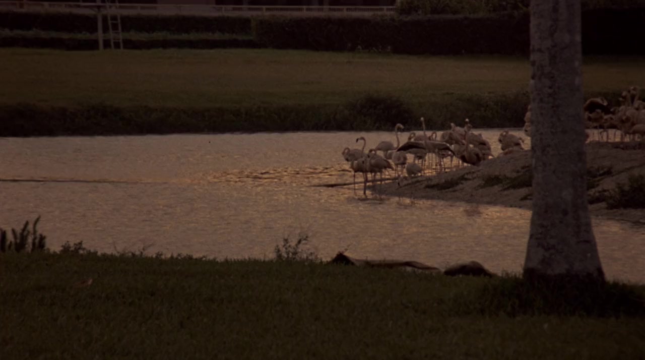 Let It Ride screenshot 3