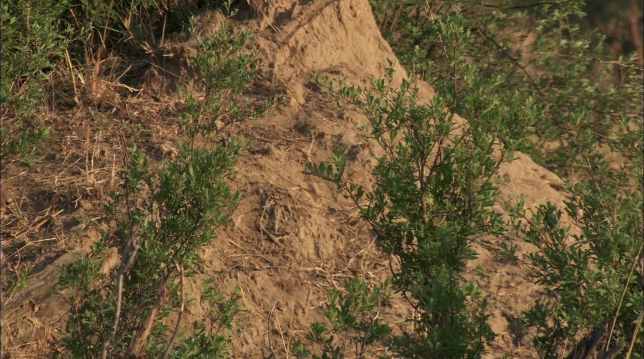 Lethal Attractions screenshot 1
