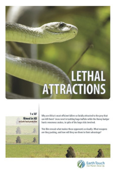 Lethal Attractions (2014) poster