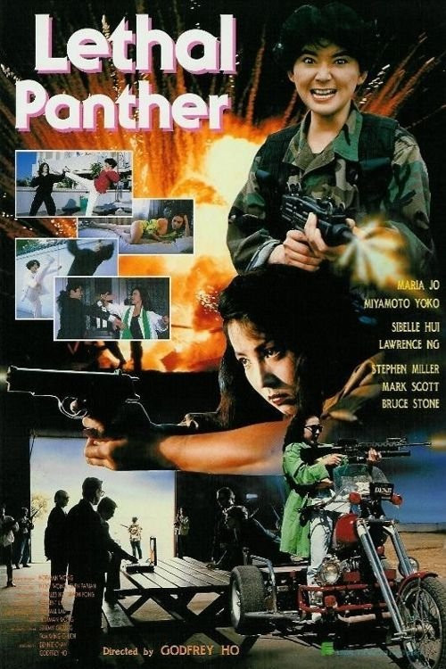 Jing tian long hu bao (1990) poster