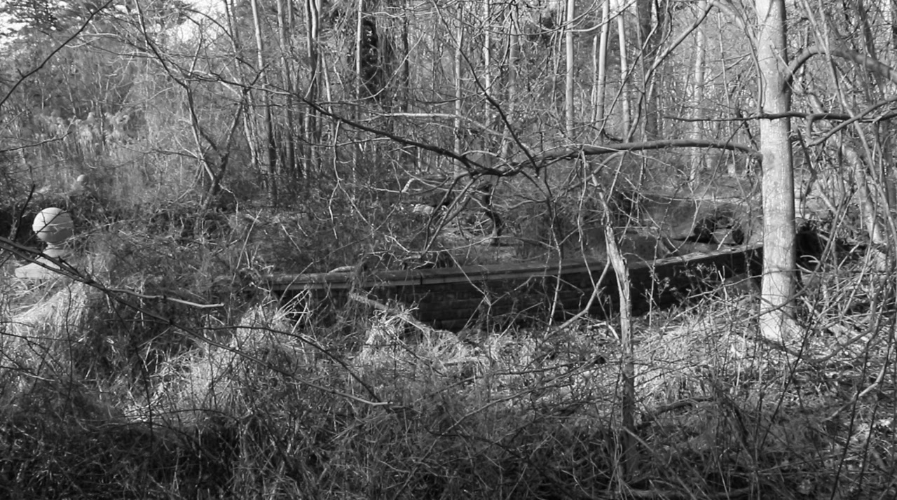 Let's Not Meet in the Woods screenshot 1