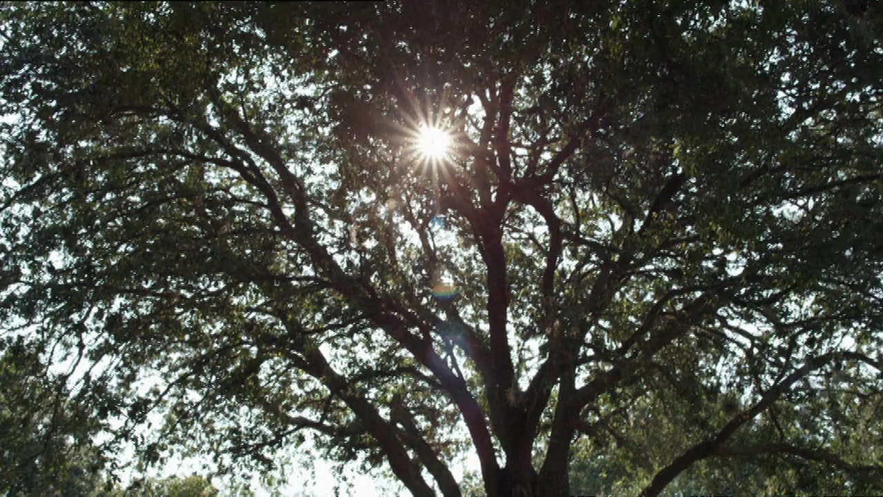 Letters to God screenshot 1