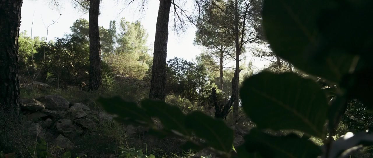 Levine screenshot 2