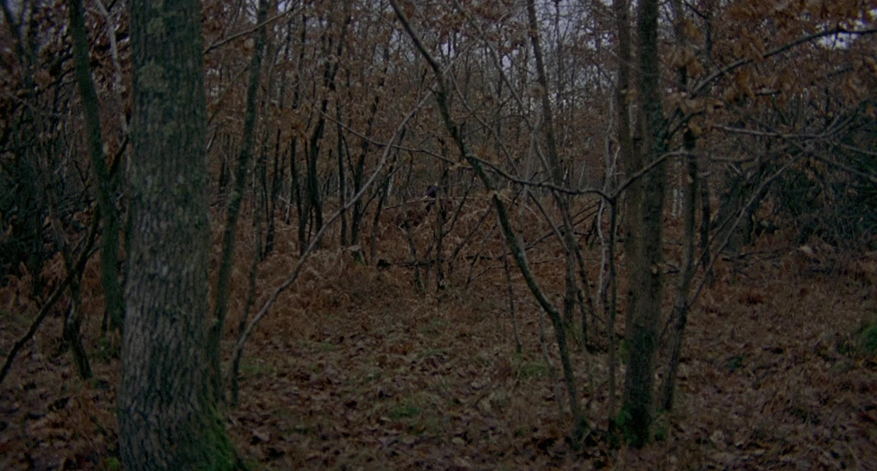 Le Cercle rouge screenshot 1