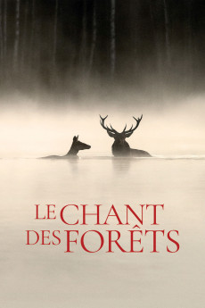 Le chant des forêts (2025) poster
