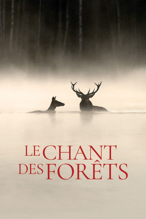 Le chant des forêts (2025) poster
