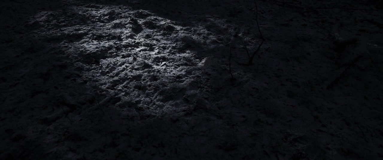 Le chant des forêts screenshot 3