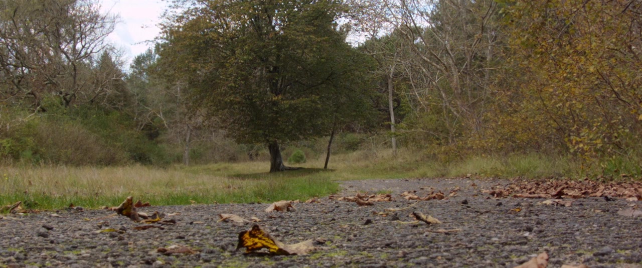 Le Chemin Des Juifs screenshot 2