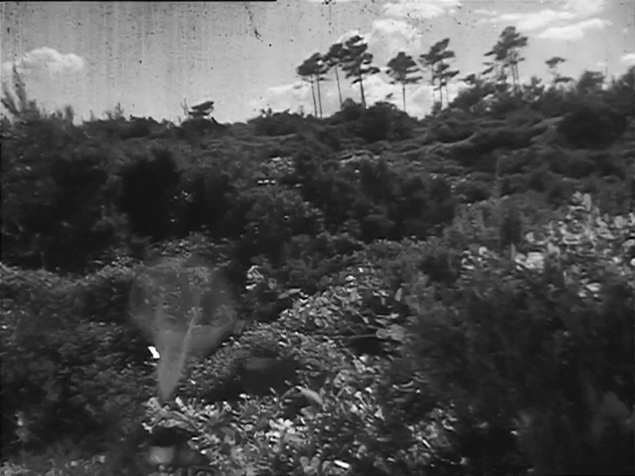 Le club des soupirants screenshot 1