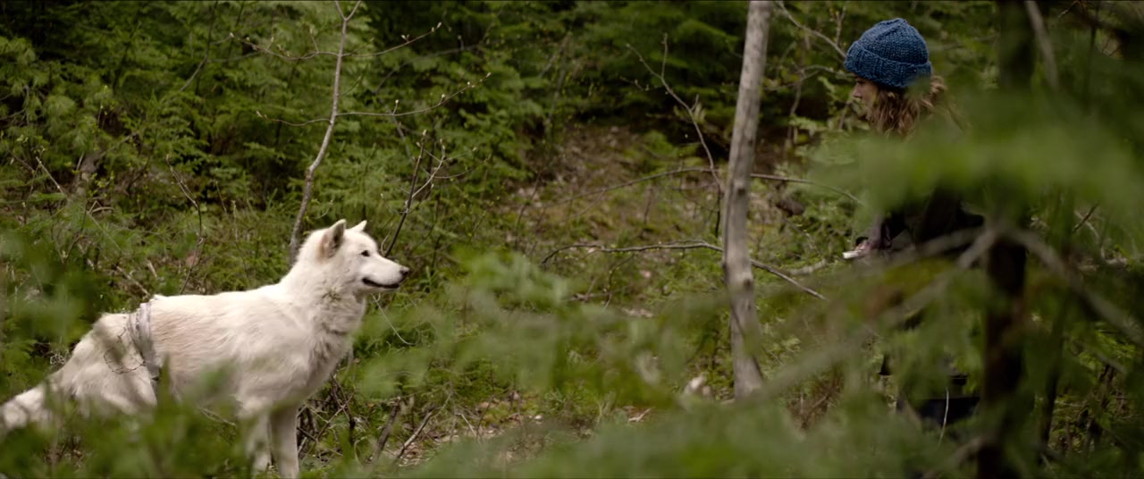 Le loup et le lion screenshot 1