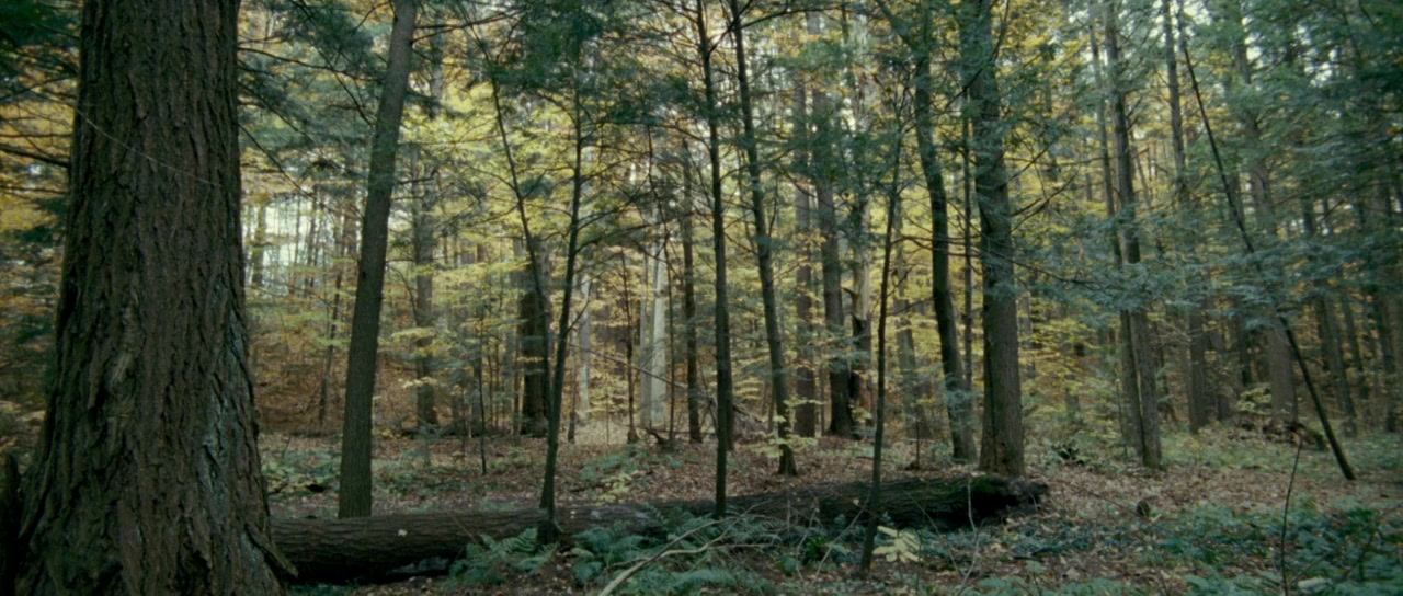 Le poil de la bête screenshot 1