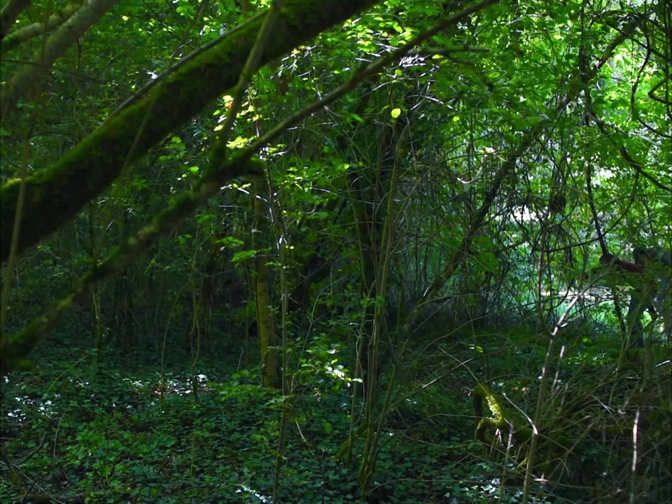 Le parc screenshot 3