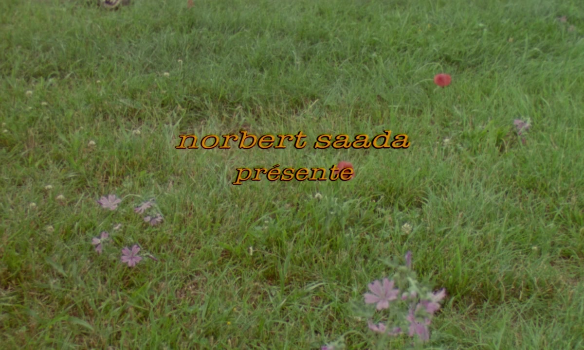 Le quart d'heure américain screenshot 2