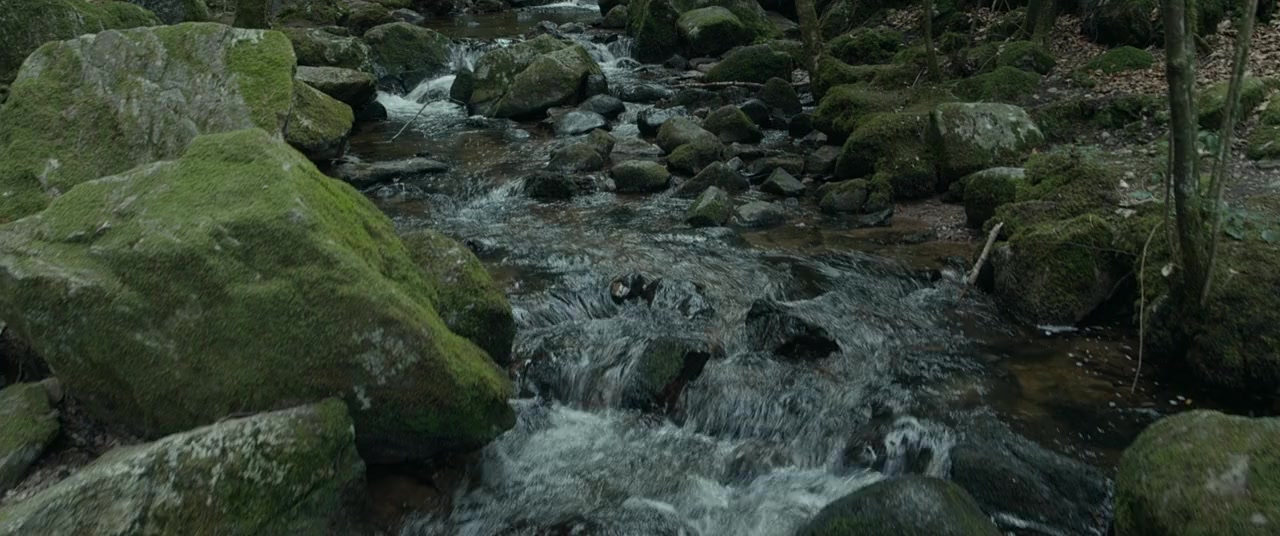 Le torrent screenshot 1