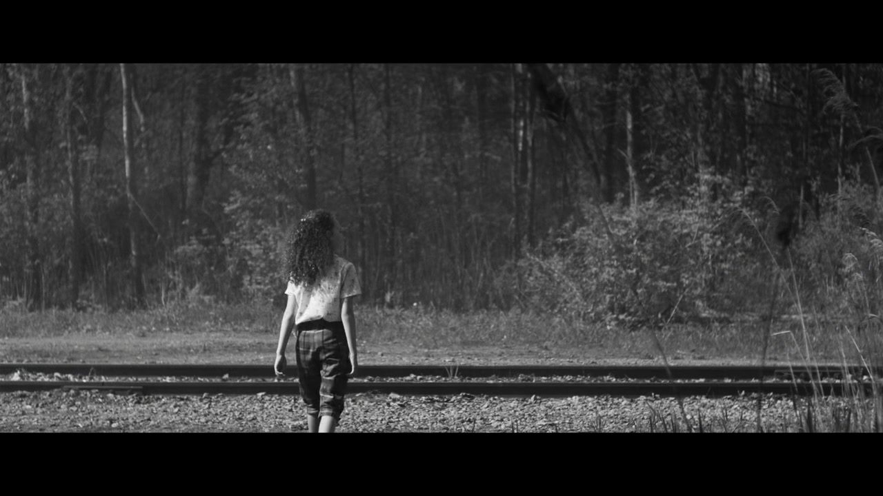 Le train screenshot 3