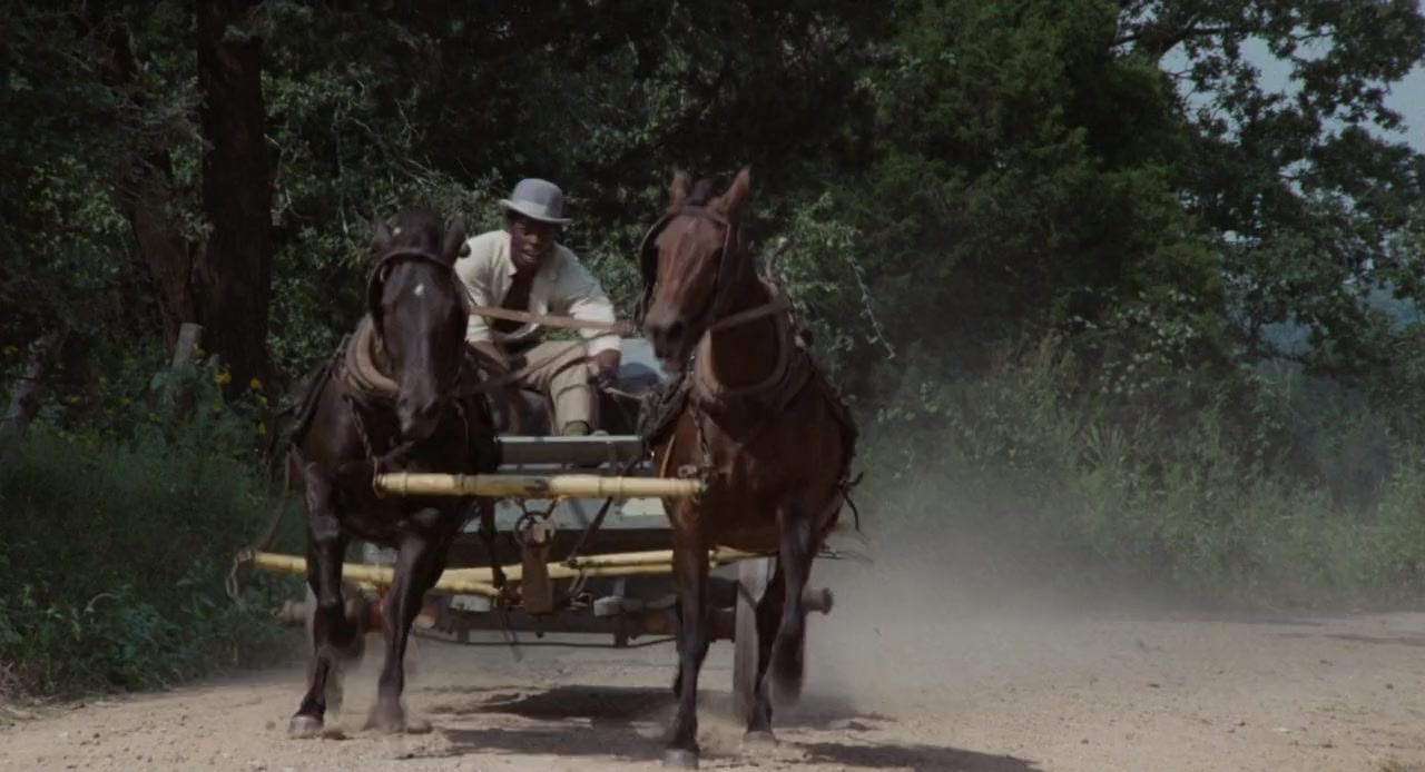 Leadbelly screenshot 3
