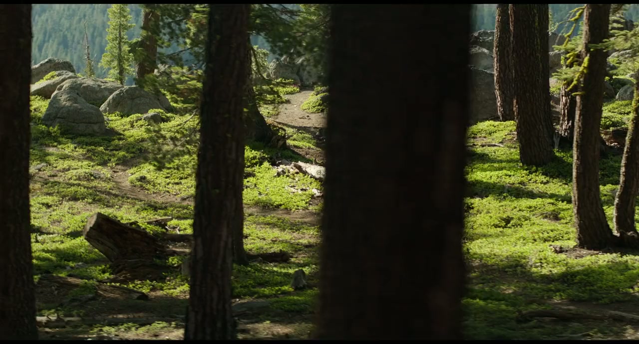 Learning to Fly screenshot 1