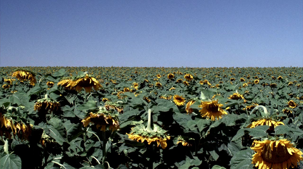 Lebanon screenshot 1