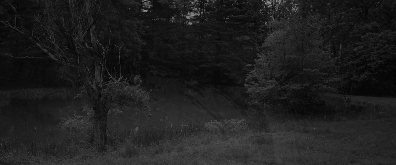 Leda screenshot 2