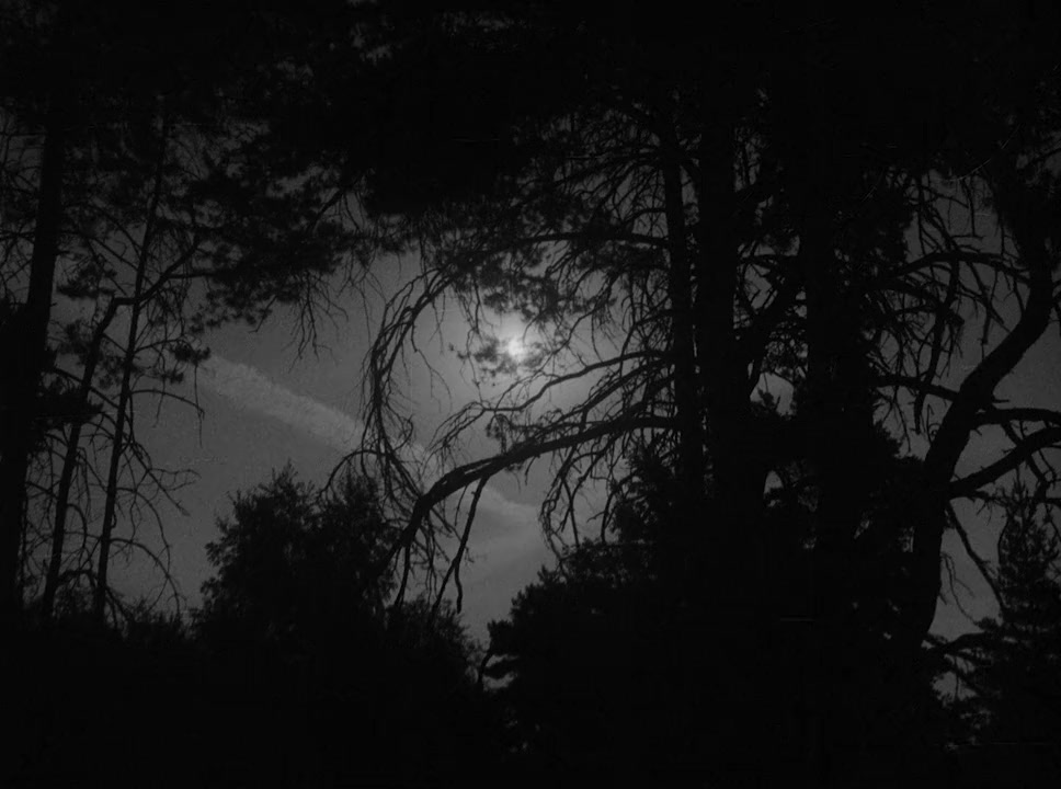 Legend of the Witches screenshot 3
