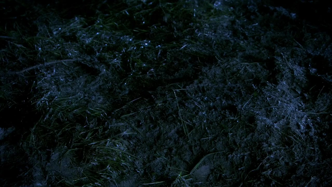 Legend of the Bog screenshot 1