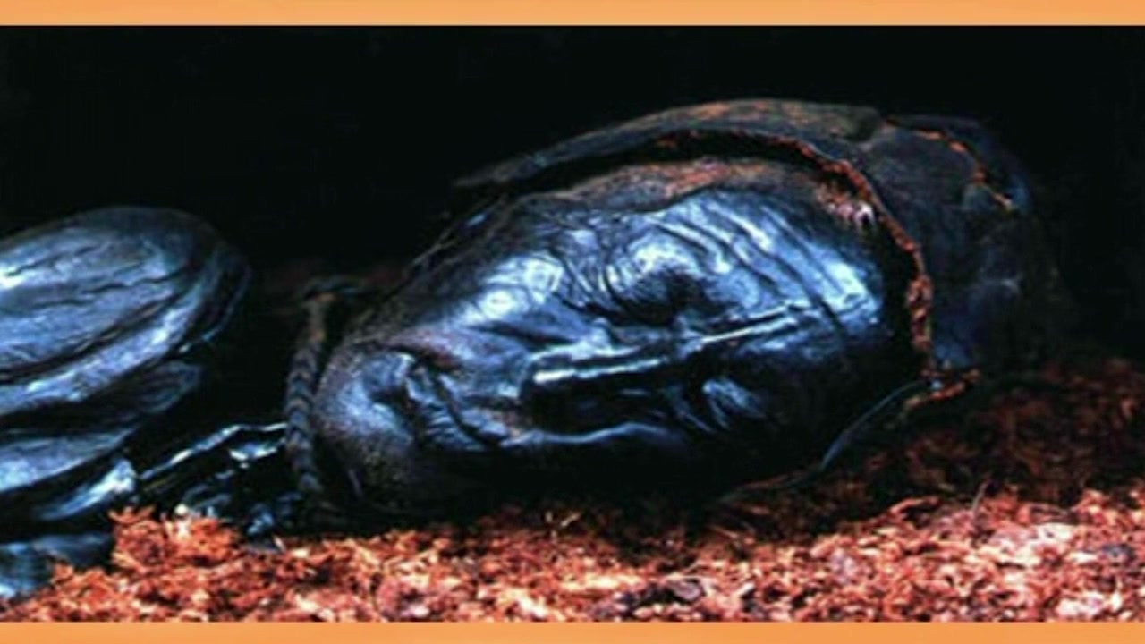 Legend of the Bog screenshot 3