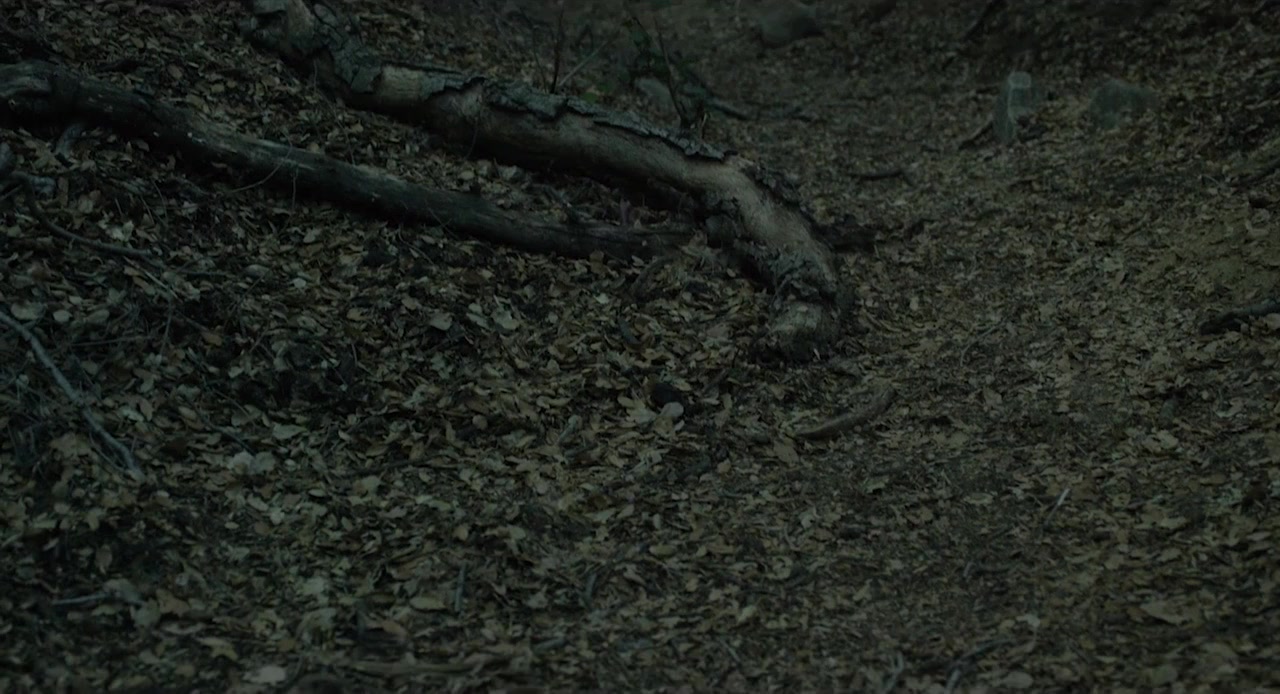 Legend of the Muse screenshot 1