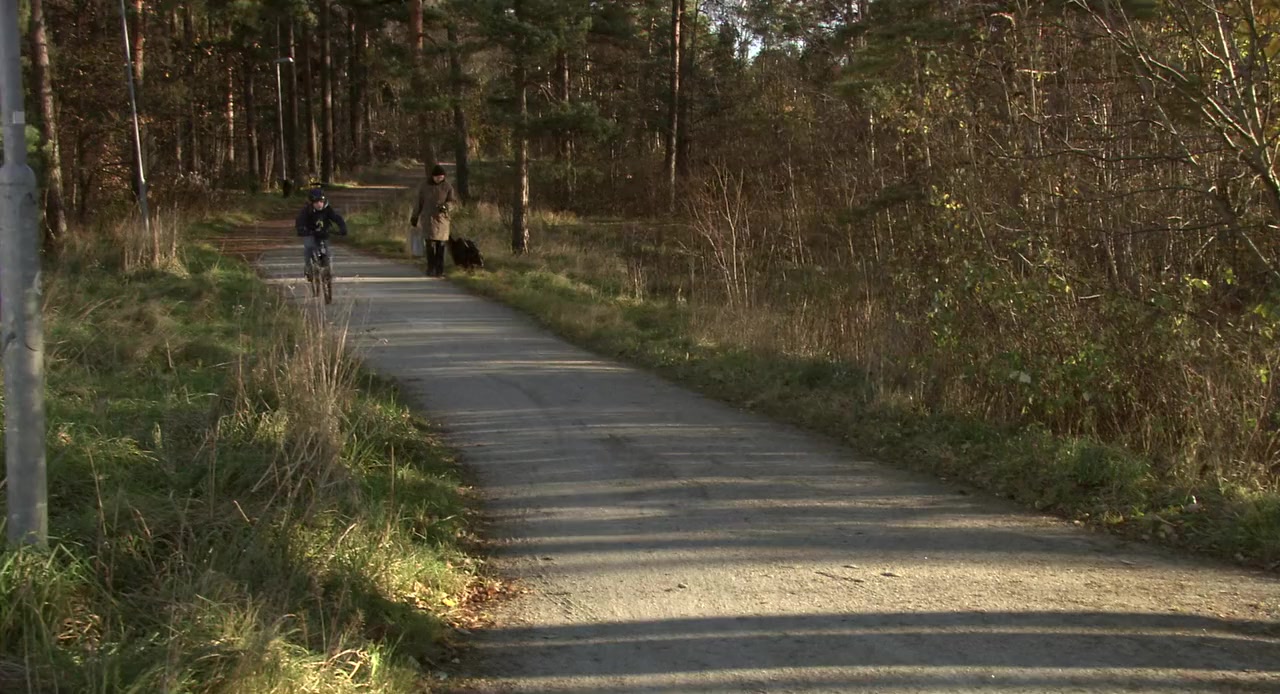 Lejontämjaren screenshot 1