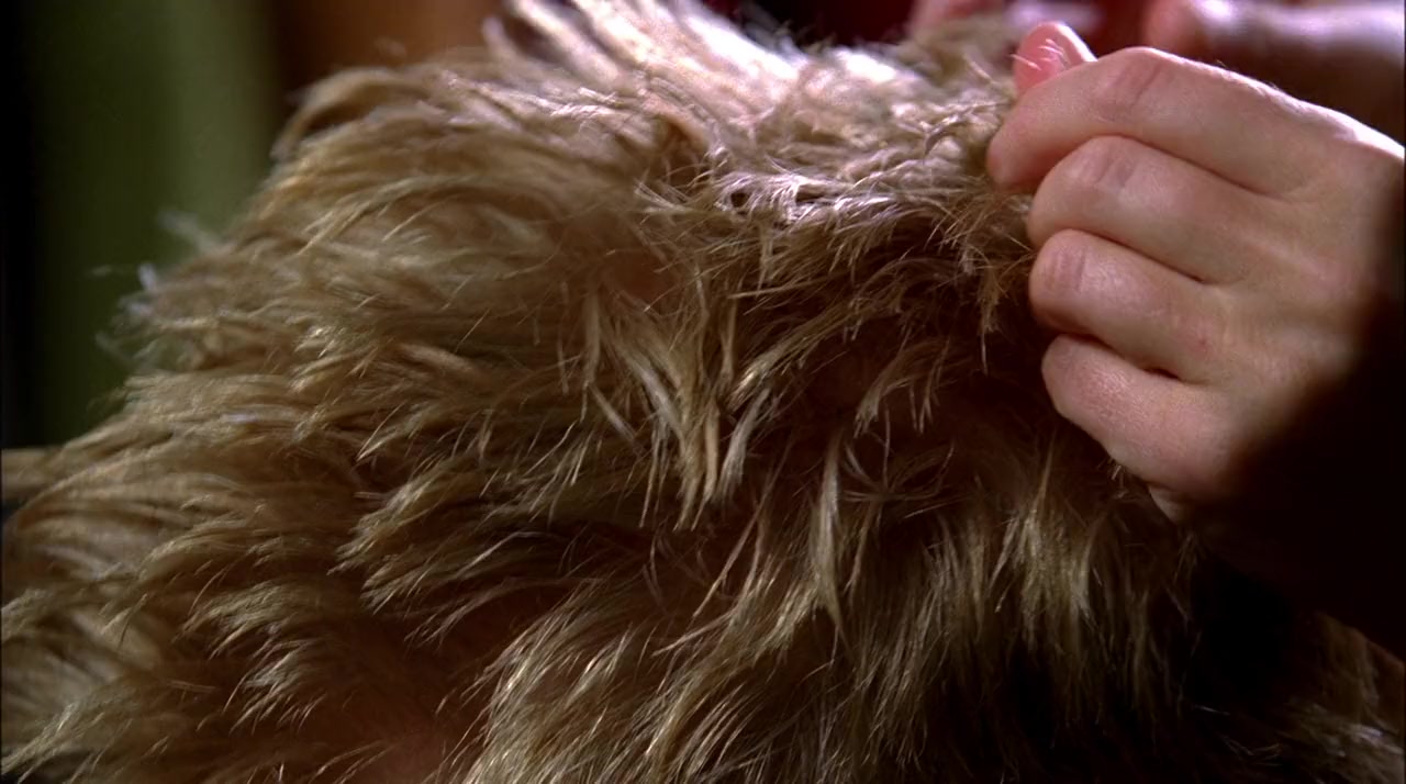Lemonade Mouth screenshot 2