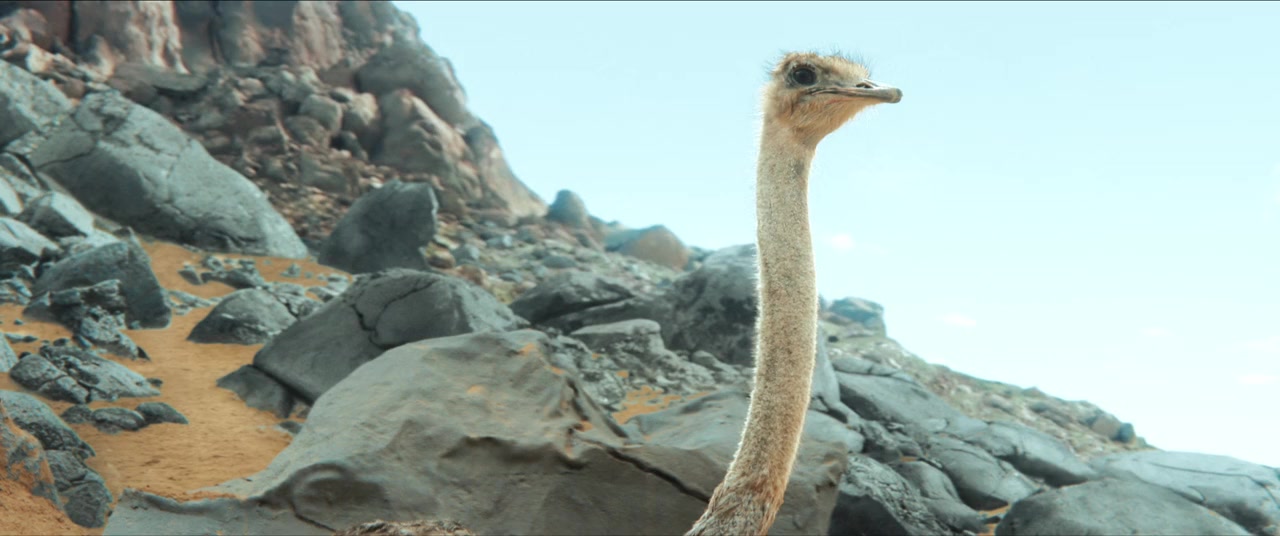 L'enfant du désert screenshot 3