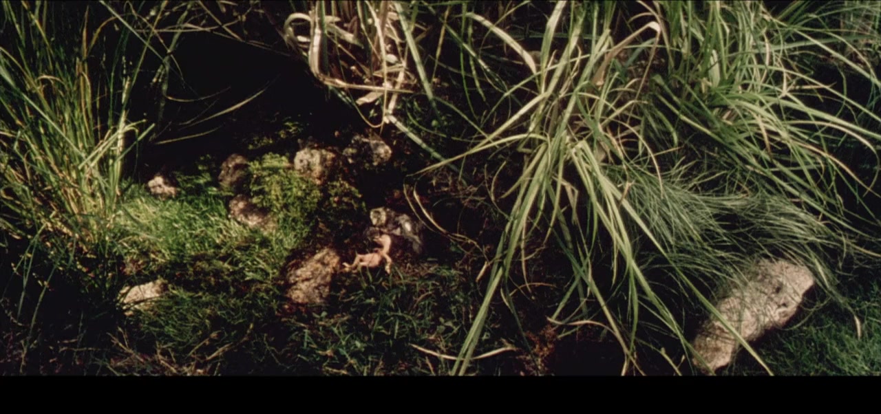 L'enfer screenshot 1