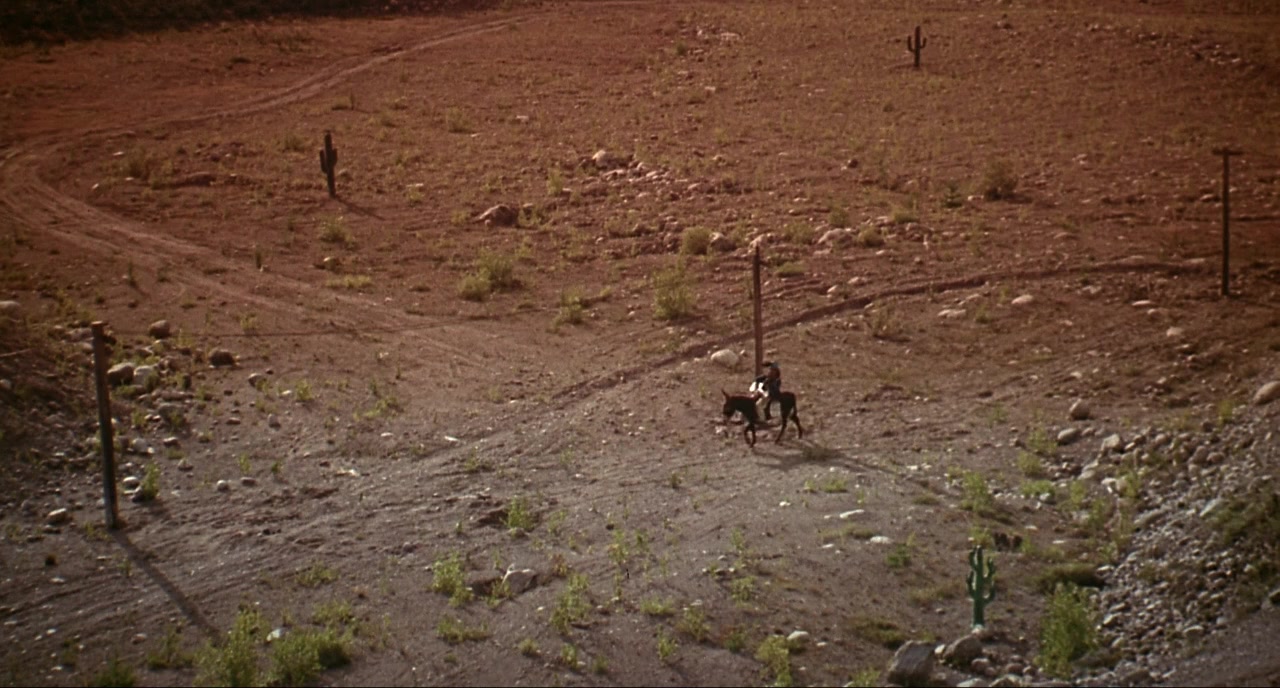 Leningrad Cowboys Meet Moses screenshot 1
