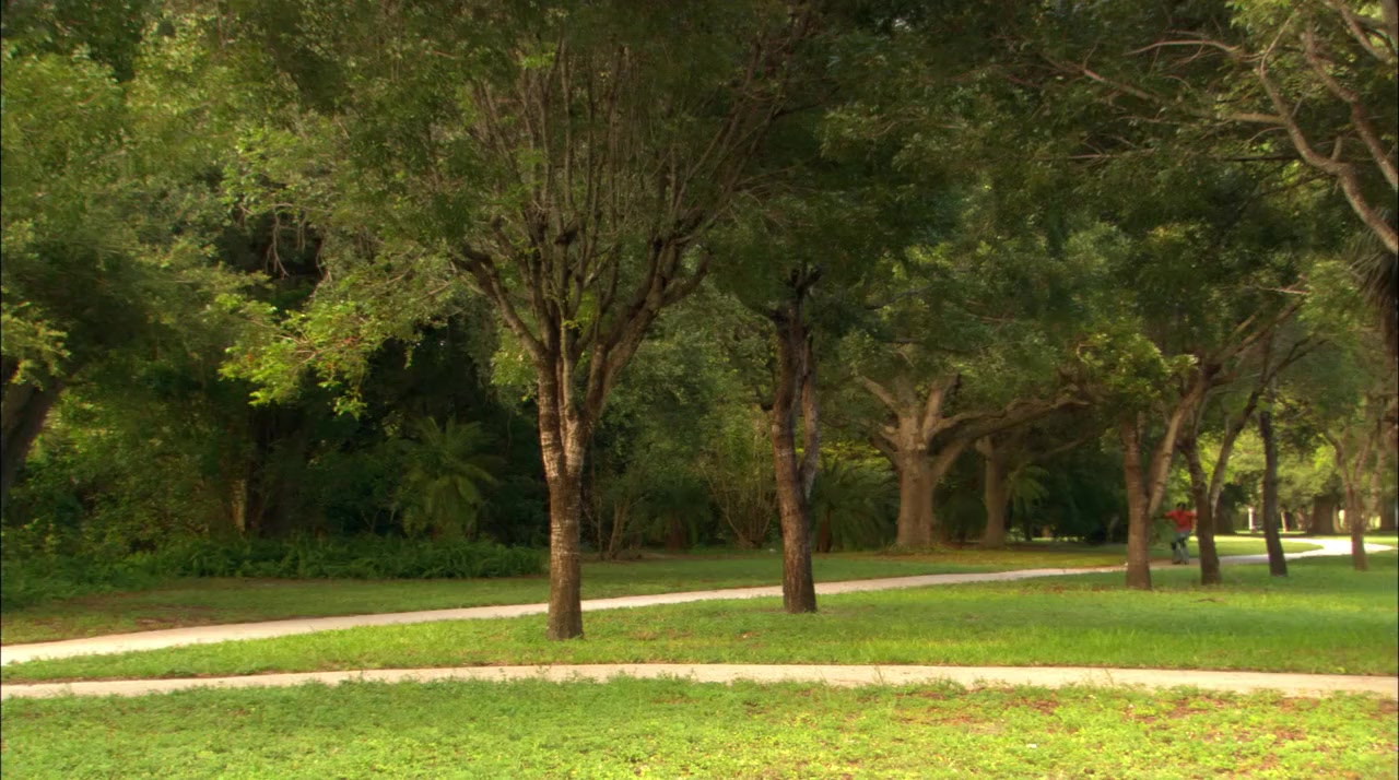 Lenny the Wonder Dog screenshot 3