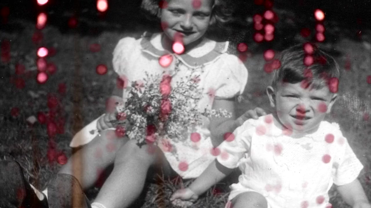 Leonard Cohen: I'm Your Man screenshot 1