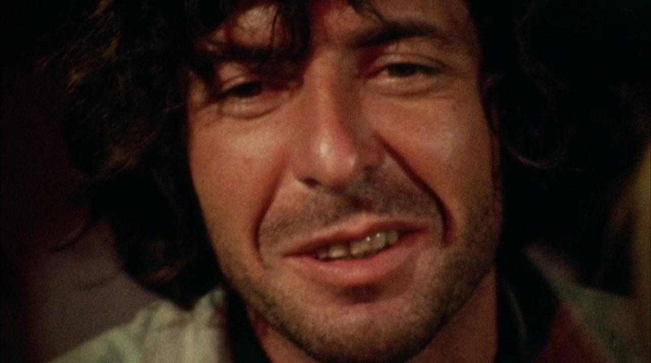 Leonard Cohen: Live at the Isle of Wight 1970 screenshot 3