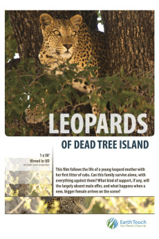 Leopards of Dead Tree Island (2010) poster