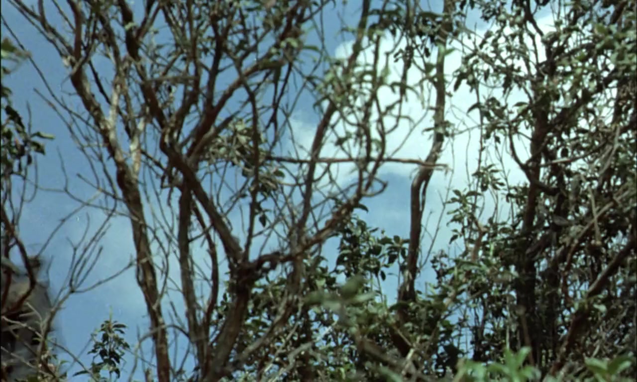 Les pétroleuses screenshot 1