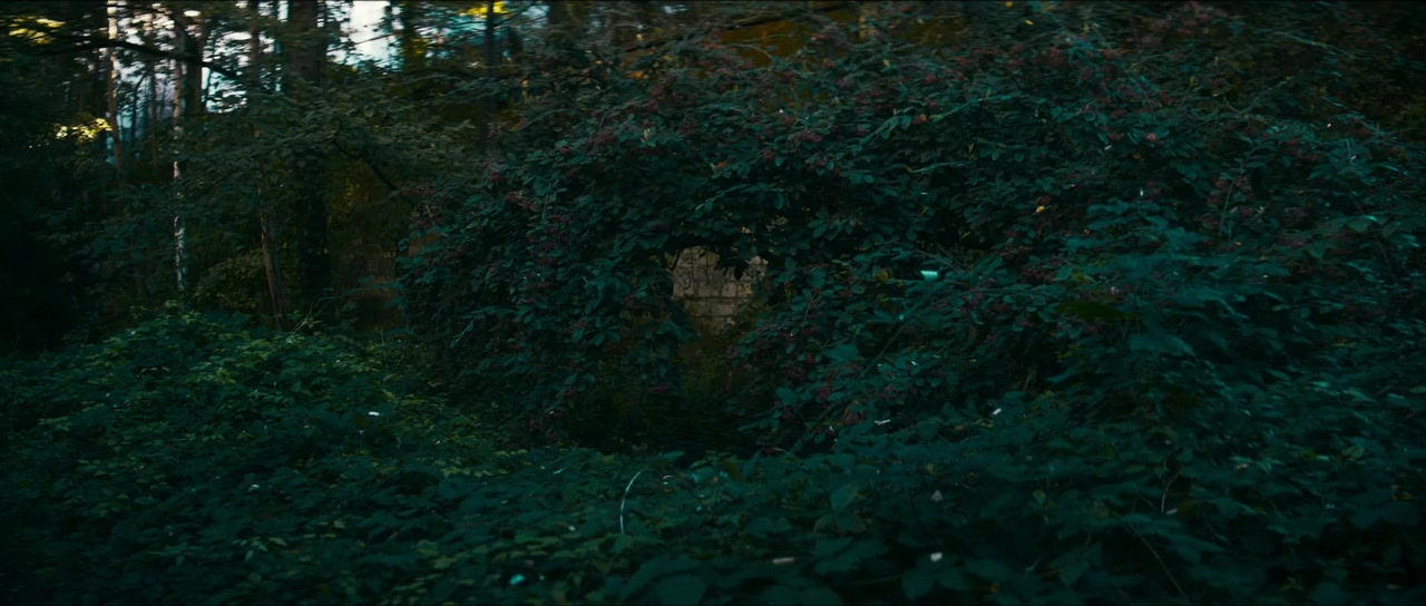 Les tourmentés screenshot 1