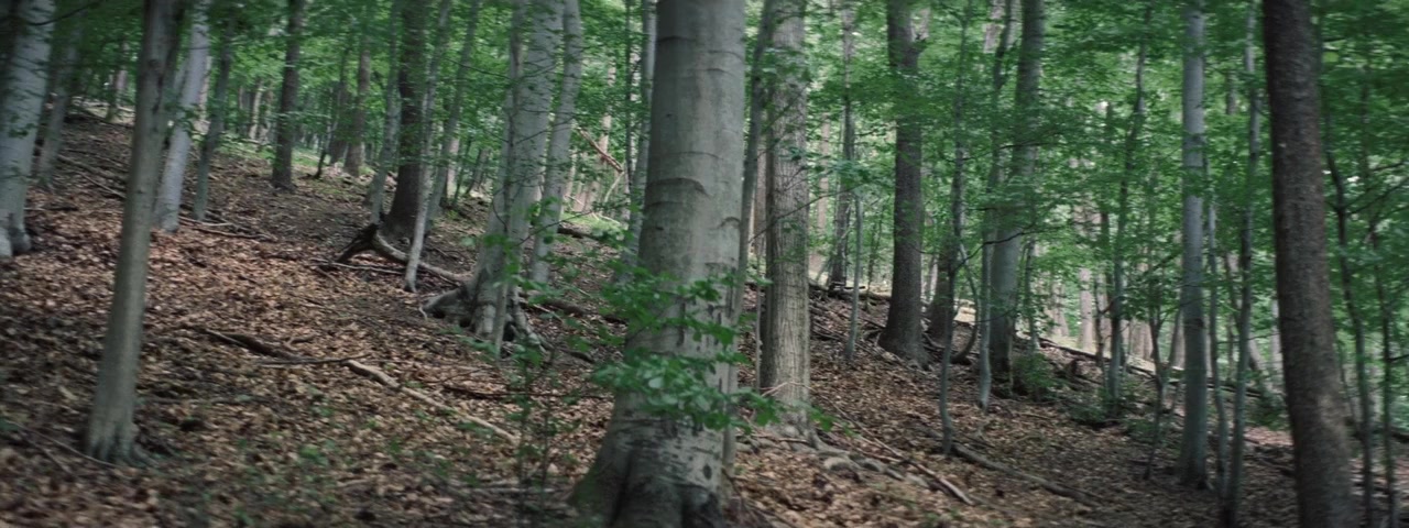 Lesní vrah screenshot 1