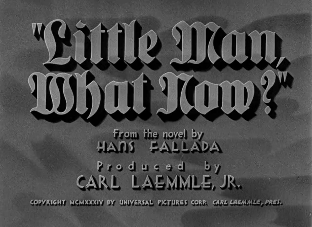 Little Man, What Now? screenshot 3