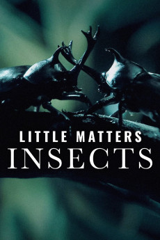 Little Matters: Insects (2014) poster