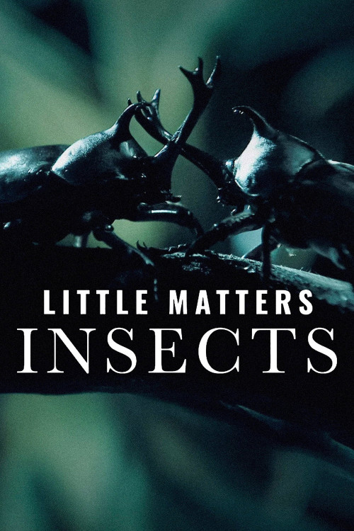 Little Matters: Insects (2014) poster