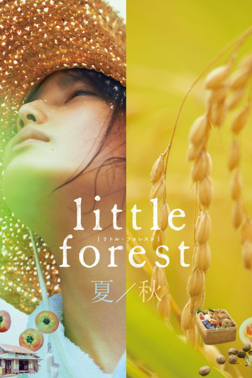 Ritoru foresuto: Natsu/Aki (2014) poster