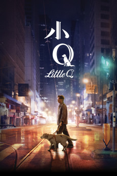 Xiao Q (2019) poster