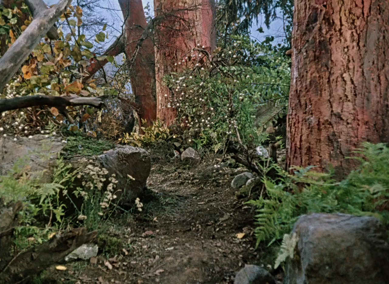 Rotkäppchen screenshot 1