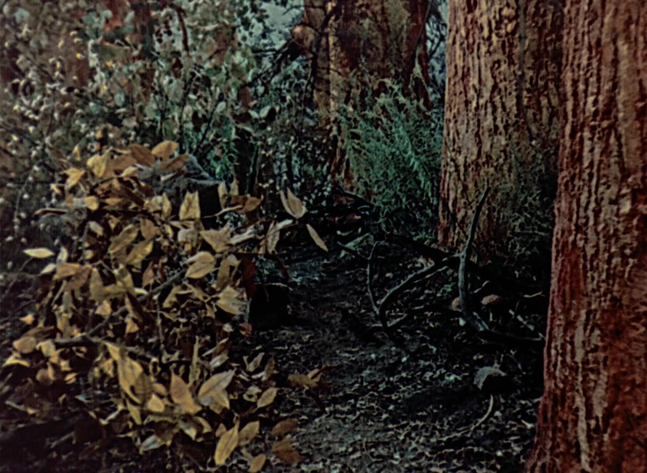 Rotkäppchen screenshot 2