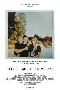 Little White Snowflake (2020) poster