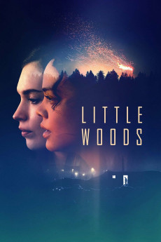 Little Woods (2018) poster